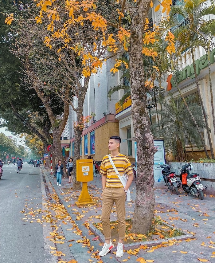 Địa điểm chụp ảnh đẹp ở Hà Nội, phố đi bộ Hà Nội