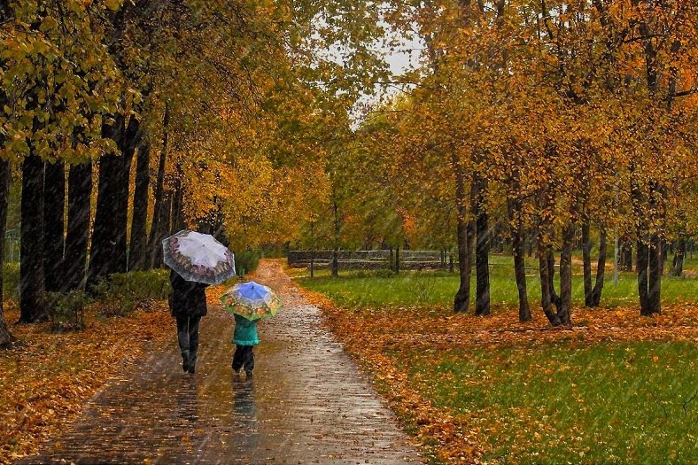 Hình ảnh cơn mưa mùa thu