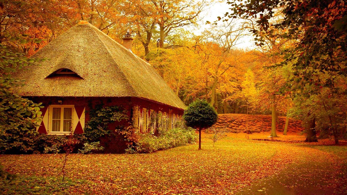 Hình ảnh căn nhà mùa thu